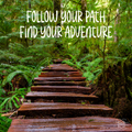 CG02  Follow Your Path Card