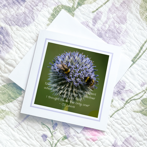 FR02 Friendship Card - Friendship Is Born