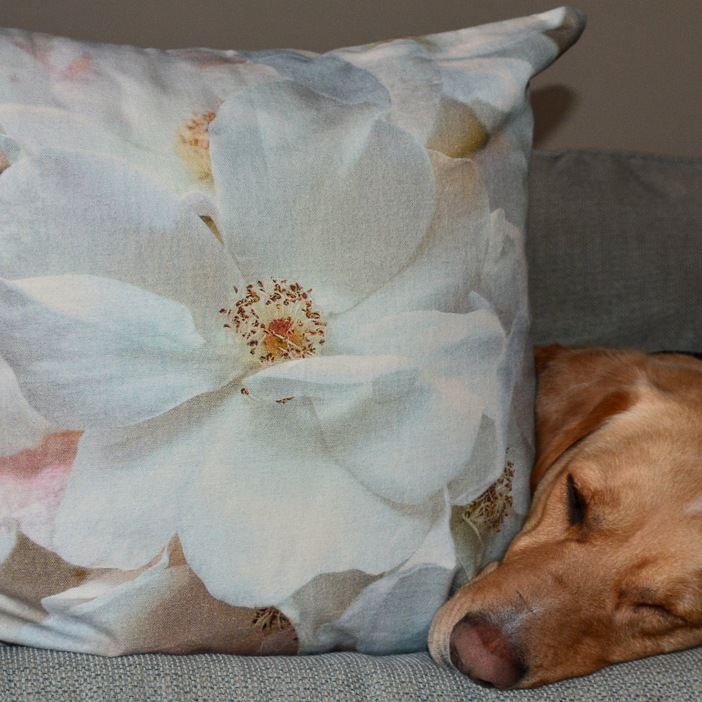 White & Blush Roses Cushion Cover 24" x 12"