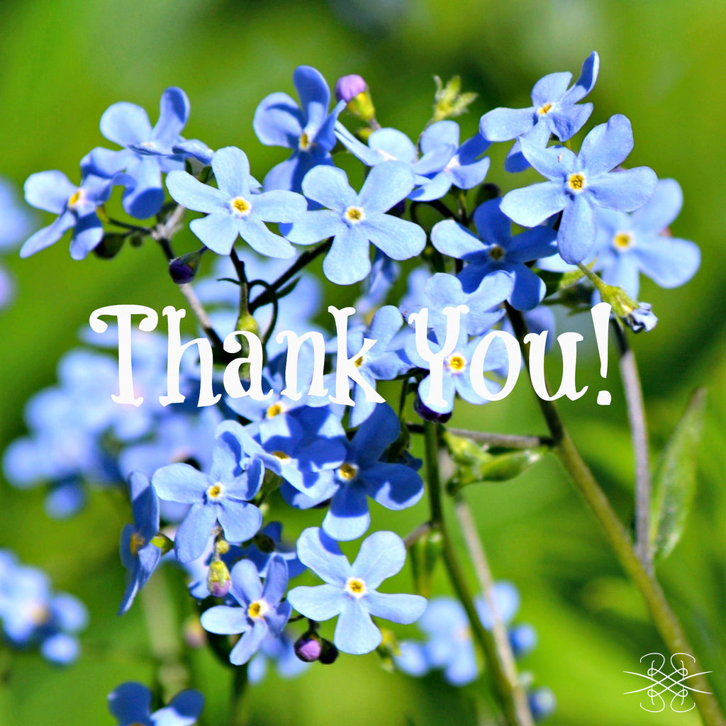 TX02 Thank You Card Forget-Me-Not