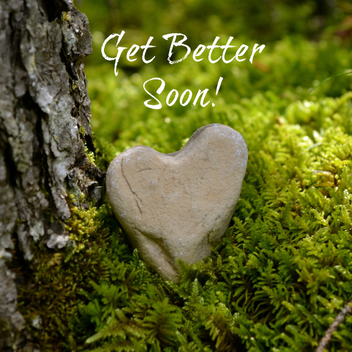 GW01 Get Well Card Natural Heart & Moss