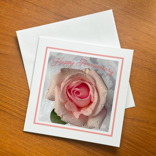 HA01 Happy Anniversary Card Soft Summer Rose