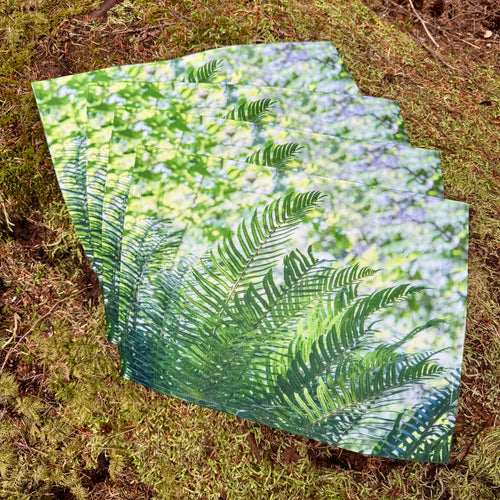 Forest of Ferns Placemat