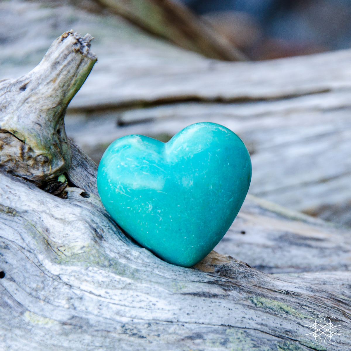SH03 Simply Hearts Card - Turquoise Heart on Driftwood