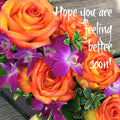 GW02 Get Well Card Orange Rose